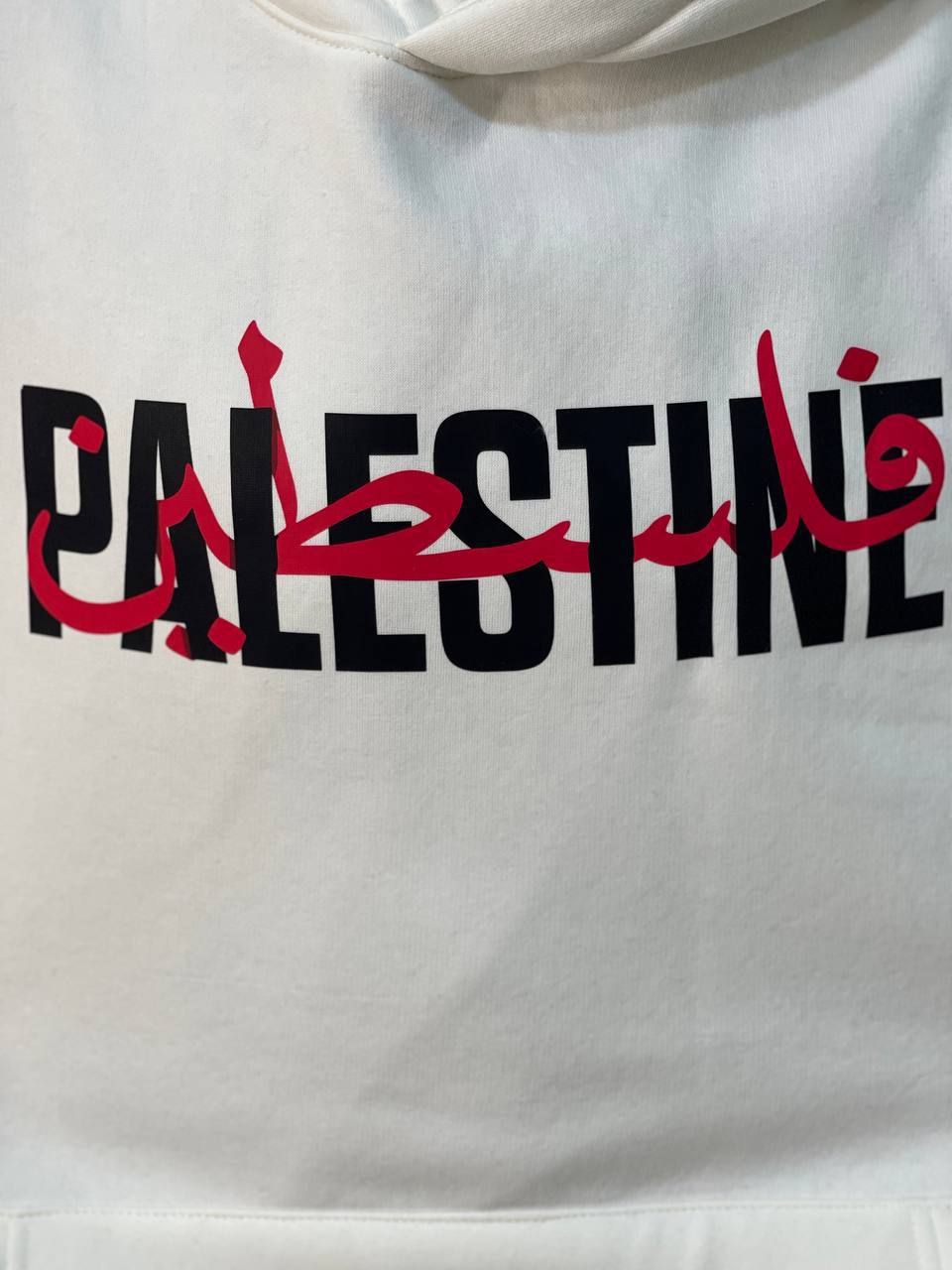 Palestine-oversize hoodi...